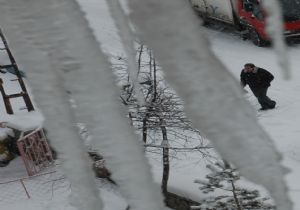 soğukta Sibiryayla rekabet